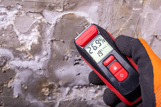 Professional Mold Removal in Shenandoah Heights, PA
