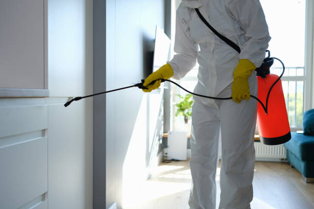 Best Commercial Mold Removal  in Shenandoah Heights, PA