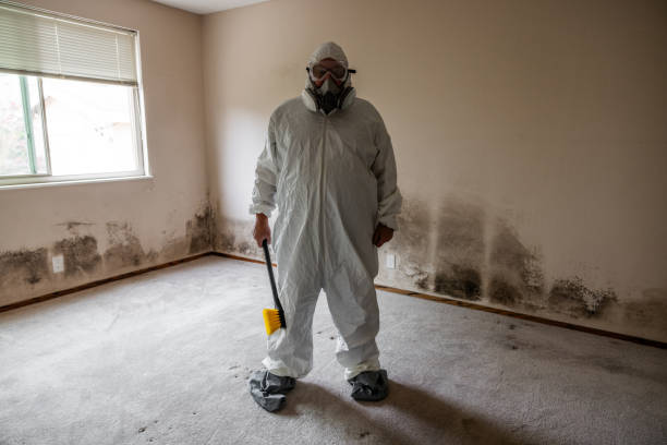 Best Residential Mold Removal  in Shenandoah Heights, PA